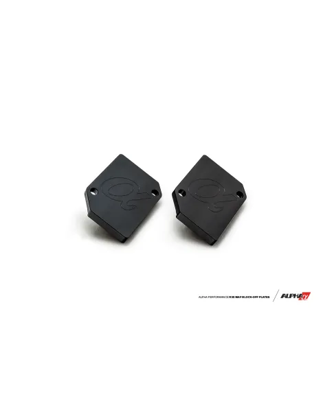 Nissan R35 GT-R 09- AMS Performance Alpha MAF Block-Off Plates Nissan R35 GT-R 09- AMS Performance Alpha MAF Block-Off Plates