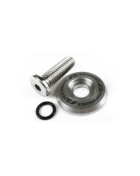 APR Performance Stainless Washer with M6 Bolt Set of Four