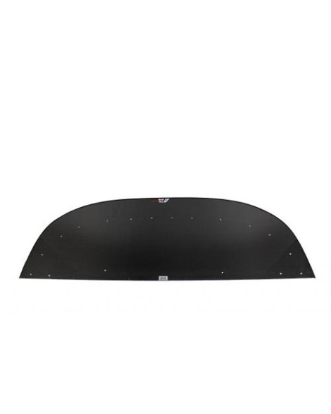 Mitsubishi Evo 10 08-16 APR Performance Carbon Fibre Wind Splitter With Rods