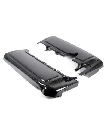 Ford Mustang 05-10 APR Performance Carbon Fibre Fuel Rail Cover/Pair