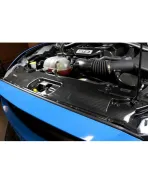 Ford Mustang 15-17 APR Performance Carbon Fibre Radiator Cooling Shroud Ford Mustang 15-17 APR Performance Carbon Fibre Radiator Cooling Shroud