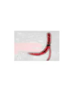 Airtec Motorsport Replacement Hoses For Two-Piece Breather System Airtec Motorsport Replacement Hoses For Two-Piece Breather System