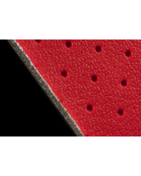 BRAUM Racing Seats Red Perforated Leatherette Material BRAUM Racing Seats Red Perforated Leatherette Material