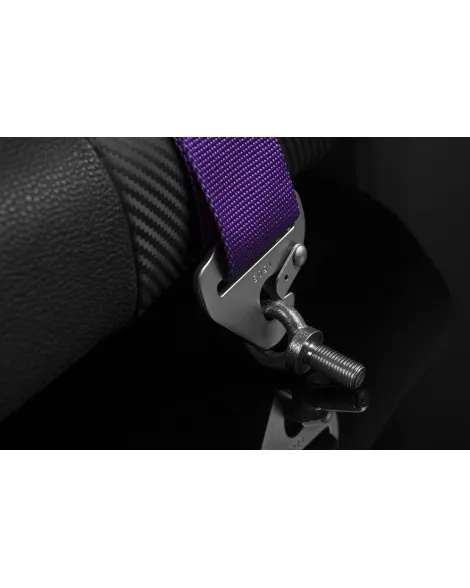 BRAUM Racing Seats 5 Point SFI Approved Racing Harness - Purple BRAUM Racing Seats 5 Point SFI Approved Racing Harness - Purple