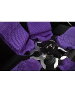 BRAUM Racing Seats 5 Point SFI Approved Racing Harness - Purple
