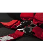 BRAUM Racing Seats 5 Point SFI Approved Racing Harness - Red