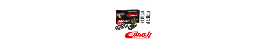 Mazda 6 MPS Lowering Springs Mazda 6 MPS Lowering Springs