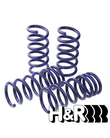 BMW F20/F21 11- H&R Lowering Springs 25mm