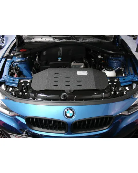BMW 320i/328i/xDrive (F3x) L4-2.0L(t) 12-18 Injen Short Ram Intake BMW 320i/328i/xDrive (F3x) L4-2.0L(t) 12-18 Injen Short Ram Intake