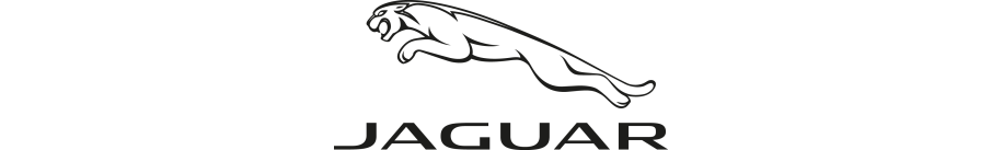 Jaguar Jaguar