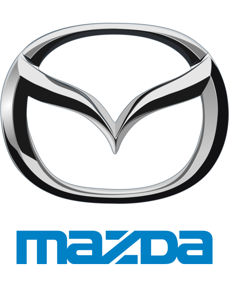 Mazda 3 MPS 07-13 / 6 MPS 06-07 Mazda OEM HPFP Pipe Blue O Ring Mazda 3 MPS 07-13 / 6 MPS 06-07 Mazda OEM HPFP Pipe Blue O Ring