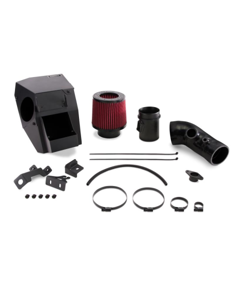 Honda Civic Type R 2017+ Mishimoto Performance Air Intake