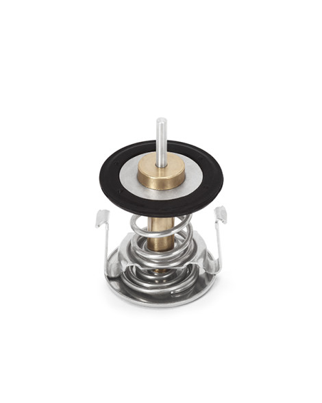 BMW E46 M52, M54, M56 Engines Mishimoto Racing Thermostat BMW E46 M52, M54, M56 Engines Mishimoto Racing Thermostat