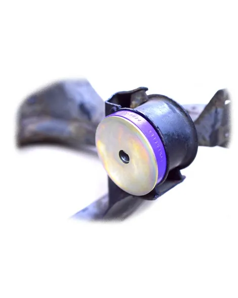 BMW E46, Compact & Xi/XD Powerflex Rear Diff Rear Bush PFR5-4626