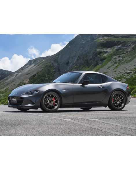 Volk Racing Wheels CE28N PLUS