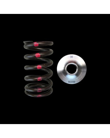Nissan SR20DE(T) Brian Crower Spring/Titanium Retainer Kit
