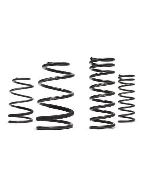 Ford Focus ST 2013 COBB Tuning Sport Springs Ford Focus ST 2013 COBB Tuning Sport Springs