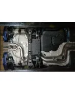 Ford Focus ST TDCI (Mk3) 14+ Cobra Rear Section Ford Focus ST TDCI (Mk3) 14+ Cobra Rear Section