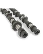 Mazda 3 MPS 07-13 / 6 MPS 06-07 / CX-7 DISI MZR Motor Corksport Camshafts Mazda 3 MPS 07-13 / 6 MPS 06-07 / CX-7 DISI MZR Motor Corksport Camshafts