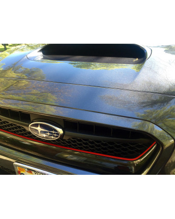 Subaru WRX/STI 14-17 Sticker Fab Original Grille Pinstripe