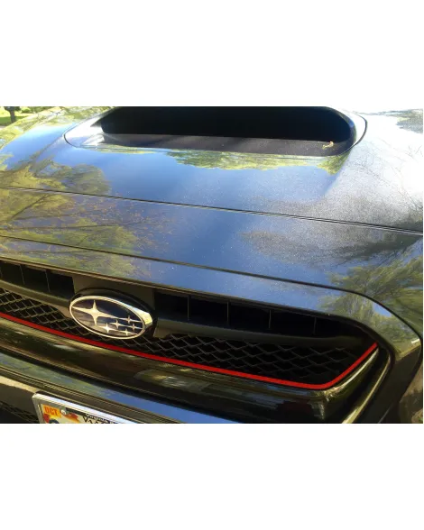Subaru WRX/STI 14-17 Sticker Fab Original Grille Pinstripe