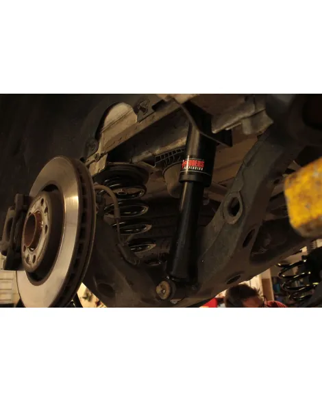 Vauxhall Vivaro 2019+ LONG wheelbase Pedders Extra Heavy Duty Rear Suspension Kit Vauxhall Vivaro 2019+ LONG wheelbase Pedders Extra Heavy Duty Rear Suspension Kit