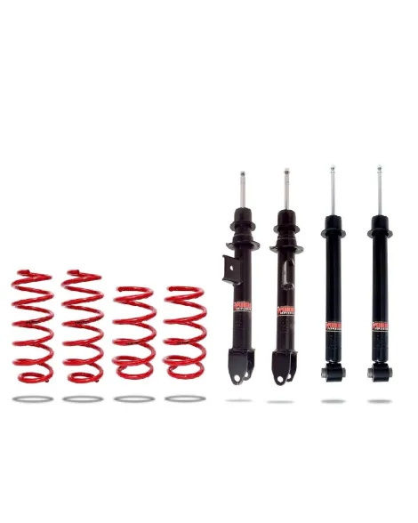 Tesla Model 3 RWD 2017+ Pedders Lowering Suspension Kit Tesla Model 3 RWD 2017+ Pedders Lowering Suspension Kit