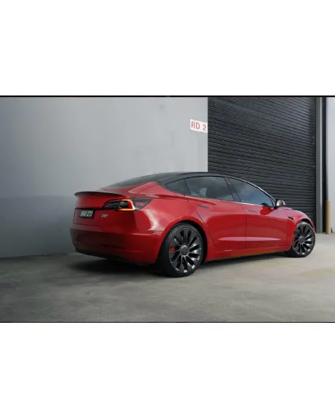 Tesla Model 3 RWD 2017+ Pedders Lowering Suspension Kit Tesla Model 3 RWD 2017+ Pedders Lowering Suspension Kit