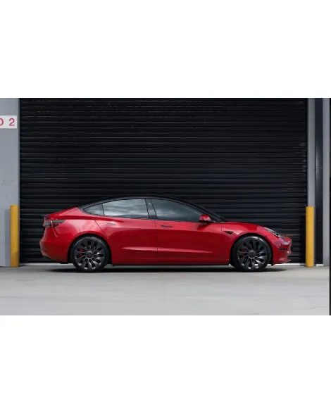 Tesla Model 3 RWD 2017+ Pedders Lowering Suspension Kit Tesla Model 3 RWD 2017+ Pedders Lowering Suspension Kit