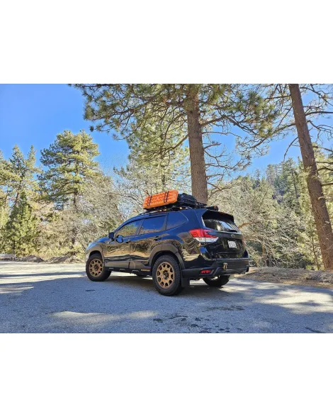 Subaru Forester SK 2018+ Pedders 2 inch Suspension Lift Kit
