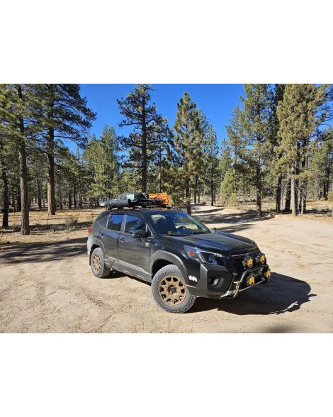 Subaru Forester SK 2018+ Pedders 2 inch Suspension Lift Kit