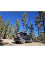 Subaru Forester SK 2018+ Pedders 2 inch Suspension Lift Kit Subaru Forester SK 2018+ Pedders 2 inch Suspension Lift Kit