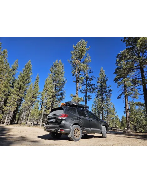 Subaru Forester SK 2018+ Pedders 2 inch Suspension Lift Kit