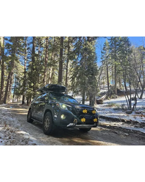 Subaru Forester SK 2018+ Pedders 2 inch Suspension Lift Kit