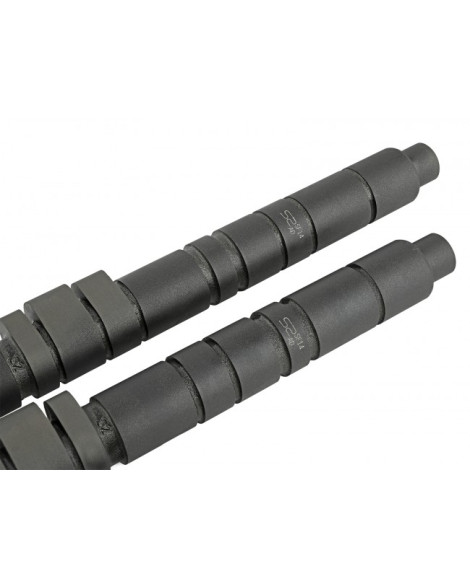 Honda B-Series VTEC Skunk2 Pro Stage 1+ Camshafts Honda B-Series VTEC Skunk2 Pro Stage 1+ Camshafts