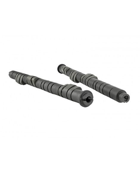 Honda B-Series VTEC Skunk2 Pro Stage 1+ Camshafts Honda B-Series VTEC Skunk2 Pro Stage 1+ Camshafts