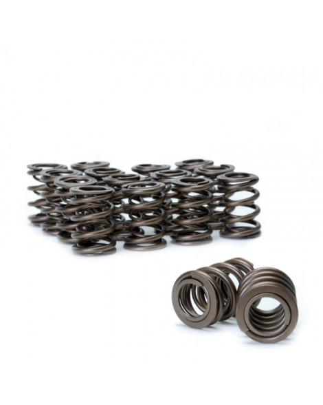 Honda B-Series B16/ B17/ B18 VTEC Skunk2 Alpha Valve Spring Set Honda B-Series B16/ B17/ B18 VTEC Skunk2 Alpha Valve Spring Set