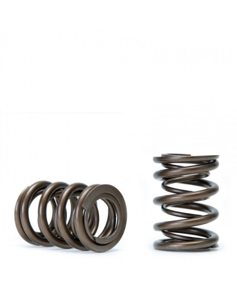 Honda B-Series B16/ B17/ B18 VTEC Skunk2 Alpha Valve Spring Set Honda B-Series B16/ B17/ B18 VTEC Skunk2 Alpha Valve Spring Set