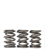 Honda B-Series B16/ B17/ B18 VTEC Skunk2 Alpha Valve Spring Set Honda B-Series B16/ B17/ B18 VTEC Skunk2 Alpha Valve Spring Set