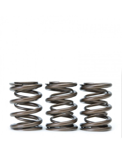 Honda B-Series B16/ B17/ B18 VTEC Skunk2 Alpha Valve Spring Set Honda B-Series B16/ B17/ B18 VTEC Skunk2 Alpha Valve Spring Set