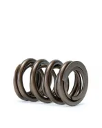 Honda B-Series B16/ B17/ B18 VTEC Skunk2 Alpha Valve Spring Set Honda B-Series B16/ B17/ B18 VTEC Skunk2 Alpha Valve Spring Set