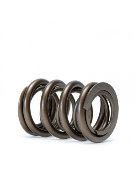 Honda B-Series B16/ B17/ B18 VTEC Skunk2 Alpha Valve Spring Set Honda B-Series B16/ B17/ B18 VTEC Skunk2 Alpha Valve Spring Set