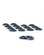 Honda K-Series Skunk2 Spring Base Kit Honda K-Series Skunk2 Spring Base Kit