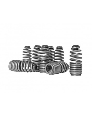 Honda B-Series & H-Series VTEC Skunk2 Lost Motion Assembly Spring Kit