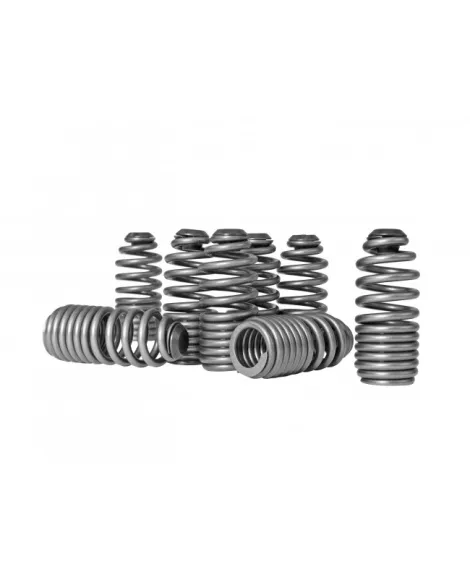 Honda B-Series & H-Series VTEC Skunk2 Lost Motion Assembly Spring Kit Honda B-Series & H-Series VTEC Skunk2 Lost Motion Assembly Spring Kit