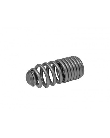 Honda B-Series & H-Series VTEC Skunk2 Lost Motion Assembly Spring Kit Honda B-Series & H-Series VTEC Skunk2 Lost Motion Assembly Spring Kit