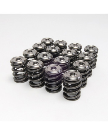 Honda B-Series B16/ B17/ B18 VTEC Skunk2 Alpha Valve Spring & Titanium Retainer Kit