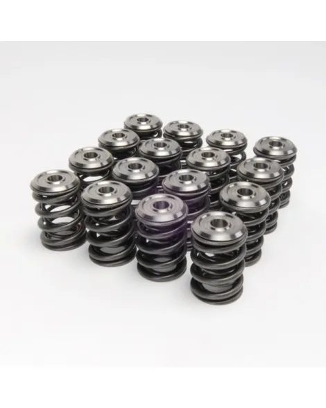 Honda B-Series B16/ B17/ B18 VTEC Skunk2 Alpha Valve Spring & Titanium Retainer Kit Honda B-Series B16/ B17/ B18 VTEC Skunk2 Alpha Valve Spring & Titanium Retainer Kit