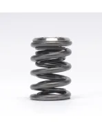 Honda B-Series B16/ B17/ B18 VTEC Skunk2 Alpha Valve Spring & Titanium Retainer Kit Honda B-Series B16/ B17/ B18 VTEC Skunk2 Alpha Valve Spring & Titanium Retainer Kit