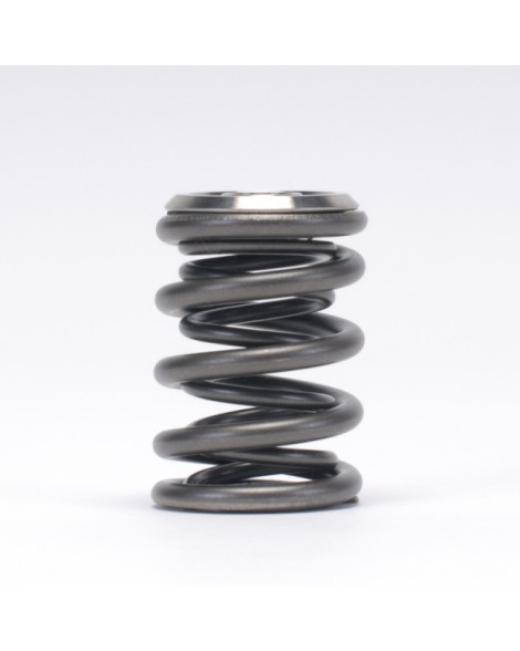 Honda B-Series B16/ B17/ B18 VTEC Skunk2 Alpha Valve Spring & Titanium Retainer Kit Honda B-Series B16/ B17/ B18 VTEC Skunk2 Alpha Valve Spring & Titanium Retainer Kit